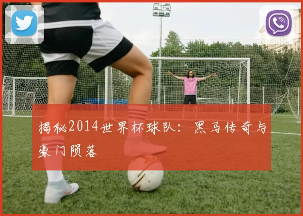 揭秘2014世界杯球队：黑马传奇与豪门陨落