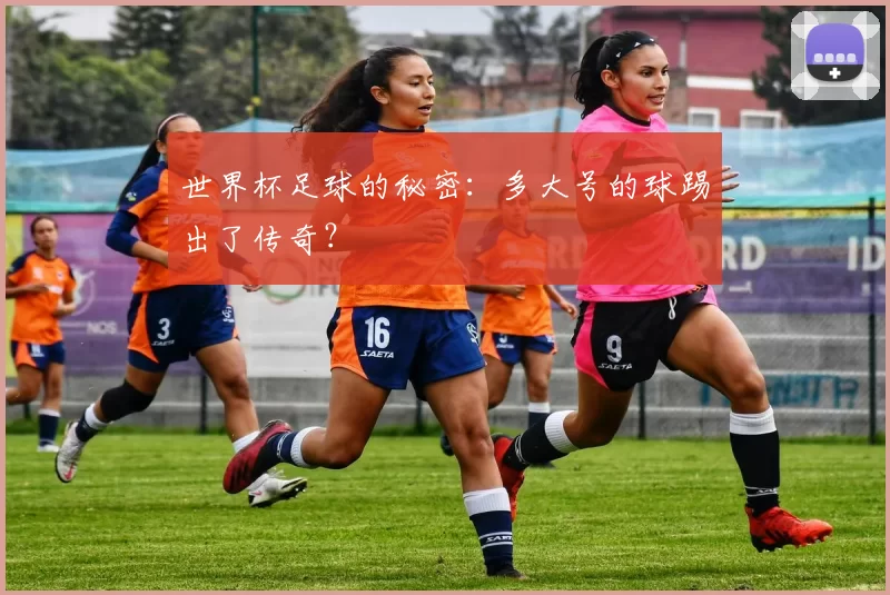 世界杯足球的秘密：多大号的球踢出了传奇？