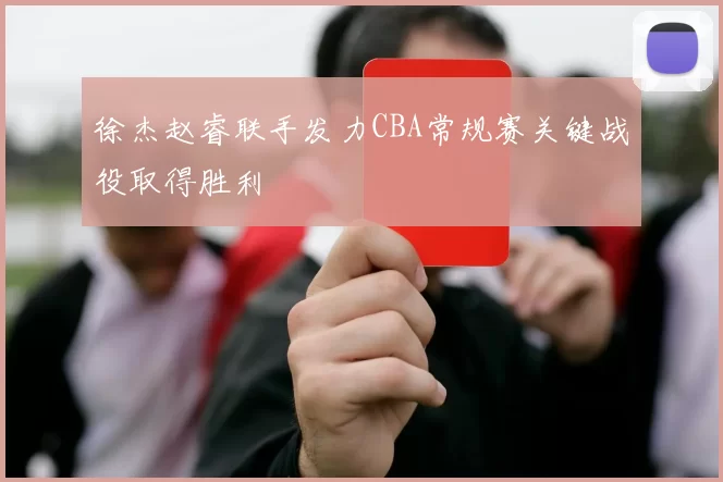 徐杰赵睿联手发力CBA常规赛关键战役取得胜利