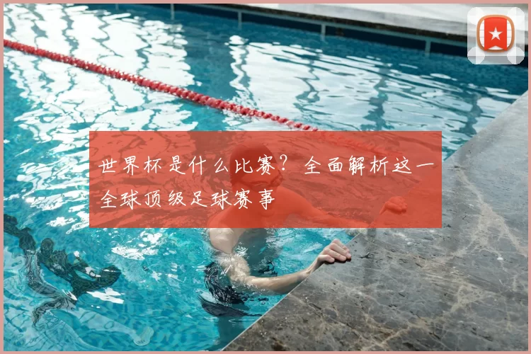 世界杯是什么比赛？全面解析这一全球顶级足球赛事