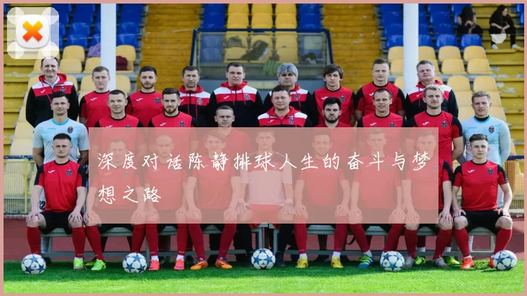 深度对话陈静排球人生的奋斗与梦想之路