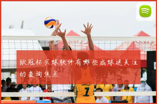 欧冠杯买球软件有哪些成球迷关注的查询焦点