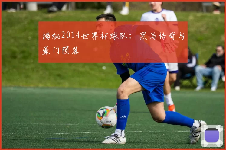 揭秘2014世界杯球队：黑马传奇与豪门陨落