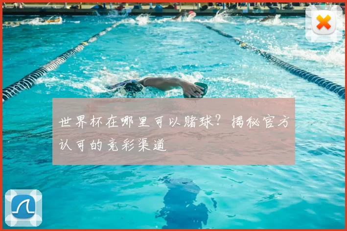 世界杯在哪里可以赌球?揭秘官方认可的竞彩渠道