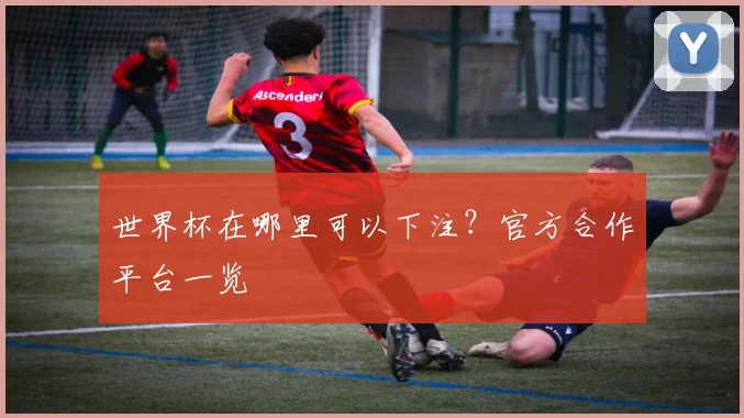 世界杯在哪里可以下注?官方合作平台一览